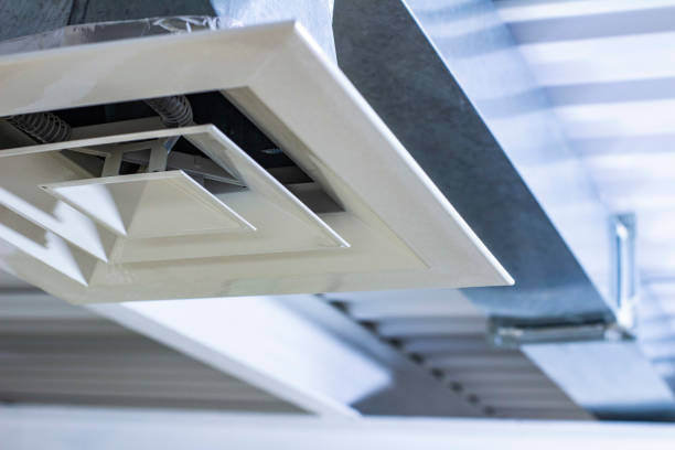 Best Home Air Vent Cleaning  in Weyauwega, WI
