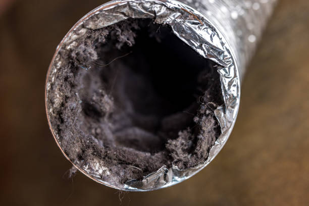 Best Air Duct Cleaning Company Near Me  in Weyauwega, WI
